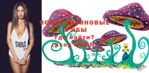 скорость Балахна